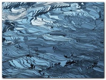 Bluewater plakat obraz 80x60cm - Wizard+Genius
