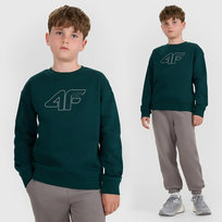 Bluza Chłopięca 4F Regular Ocieplana Dresowa Morska Zieleń 4FJWAW25TSWSM1960 164 Morska Zieleń 4F