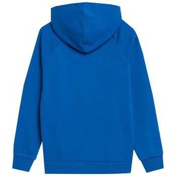 Bluza dla chłopca 4f kobalt 4f - 4F