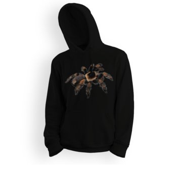 Bluza dziecięca z kapturem pająk Brachypelma hamorii-104 - 5made