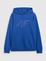 BLUZA MĘSKA Z KAPTUREM 4F BASIC TSWSM1980 AW25 S 4F