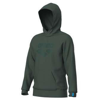 Bluza sportowa z kapturem typu kangurka Arena Hooded Sweat Logo Sage R.M - Arena