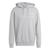 Bluza z kapturem męska adidas TERREX LOGO szara IB6564-XXL Adidas