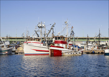 Boats at the docks in Seattle, Washington, Carol Highsmith - plakat 42x29,7 cm - Galeria Plakatu