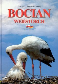 Bocian - Kłosowski Tomasz, Kłosowski Grzegorz
