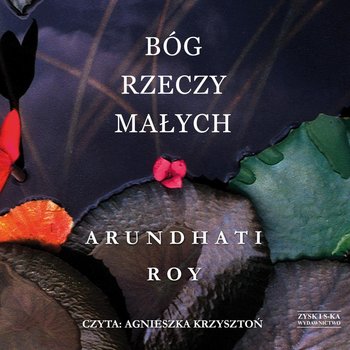 Bóg rzeczy małych - Roy Arundhati