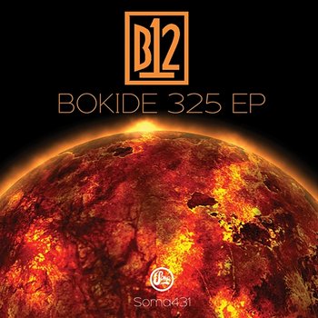 Bokide 325 - B12