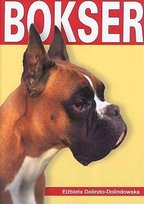 Bokser Dolinowska Elżbieta