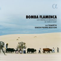 Bomba Flamenca La Tempete