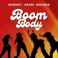 Boom Body Shaggy, Akon, Aidonia