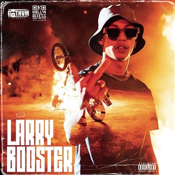 Booster - Larry