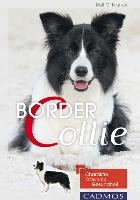 Border Collie Franck Rolf C.