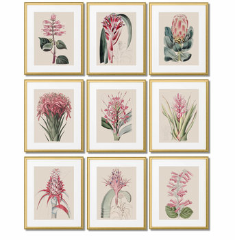 Botaniczne plakaty vintage w ramkach do wyboru - DEKORAMA