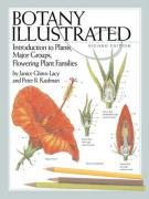 Botany Illustrated - Glimn-Lacy Janice, Kaufman Peter B.