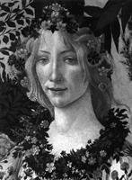 Botticelli - Venturi Lionello, Cecchi Alessandro