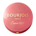 Bourjois, Little Round Pot Blusher, róż do policzków 15 Rose Eclat, 2,5g - Bourjois