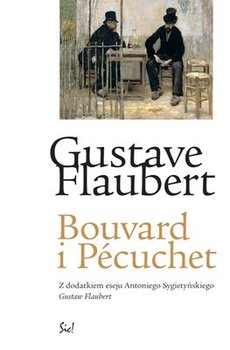 Bouvard i Pecuchet - Flaubert Gustave