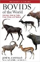Bovids of the World Castello Jose R.