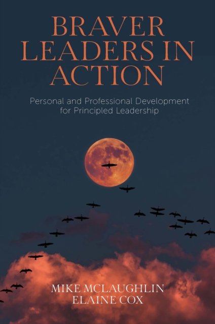 Braver Leaders In Action: Personal And Professional Development For ...