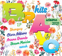 Bravo Hits: Wiosna 2021 Various Artists