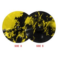 Breach (EXALT PICTURE DISC), płyta winylowa Twenty One Pilots