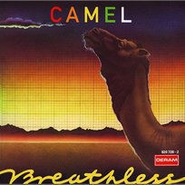 Breathless Camel