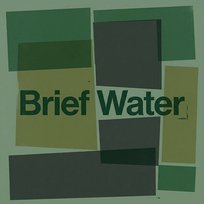 Brief Water Saffron Crow