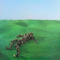 Bright Green Field Squid