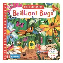 Brilliant Bugs Chorkung