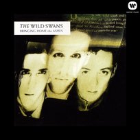 洋楽 Swans 9th CD 洋楽 Swans 9th CD 洋楽 Swans 9th CD Swans CD | eBay