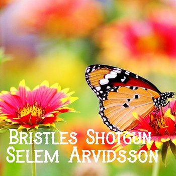 Bristles Shotgun - Selem Arvidsson