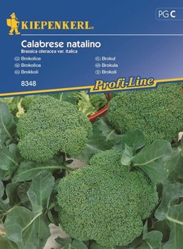 Brokuł Calabrese natalino - KIEPENKERL