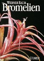 Bromelien Rauh Werner
