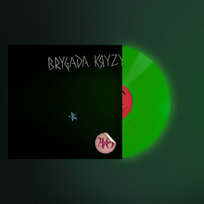 Brygada Kryzys (świecący winyl), płyta winylowa