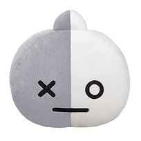 Bt21: BT21 Van Cushion 12.5In 
