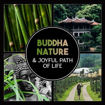 Buddha Nature & Joyful Path of Life – Touch of Healing, Meditation, Spiritual Teaching, Mindfulness Activities for Inner Peace, Energy Zen Flow - Guided Meditation Music Zone