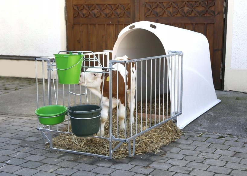 KERBL Kerbl Budka Dla Cieląt Z Lekkim Wygrodzeniem