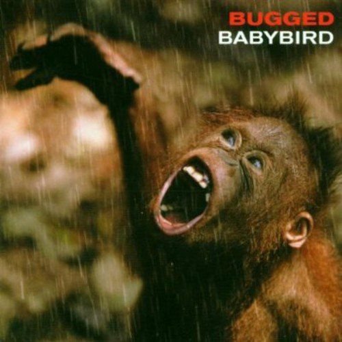 Bugged - Babybird | Muzyka Sklep EMPIK.COM