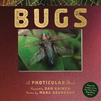 Bugs: A Photicular Book Mara Grunbaum, Kainen Dan