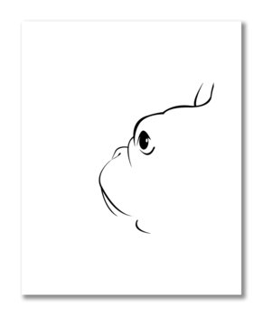 Buldog Francuski - głowa, grafika czarno-biała plakat 40x50 - DEKORAMA