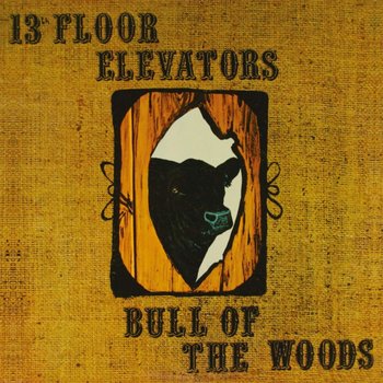 Bull Of The Woods - The 13th Floor Elevators