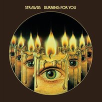 Burning For You Strawbs