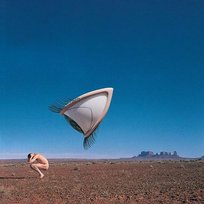 Bury The Hatchet, The Complete Sessions, płyta winylowa The Cranberries