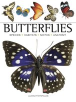Butterflies Julianna Photopoulos