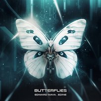 Butterflies Edine, Edward Maya