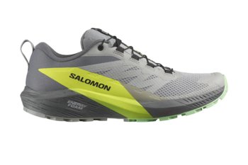 Buty męskie Salomon Sense Ride 5 do biegania w terenie-42 2/3 - Salomon