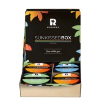 Byrokko, Sunkissed Box, Zestaw do opalania, 4 szt. Byrokko