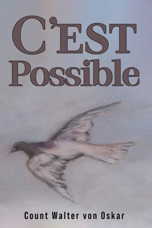 C'est Possible - W opisie | Książka w Empik