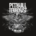 C.I.A. - Pitbull Terrorist
