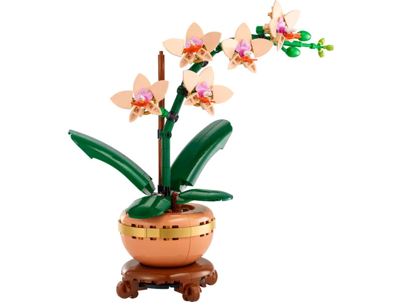 ♡♡ LEGO® ICONS BOTANICAL COLLECTION MAŁA ORCHIDEA (10343)– Idealny